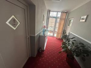 Brothers House