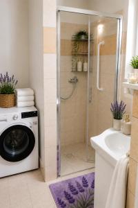 APARTMÁN RELAX- Velká Bukovina 16, 40729