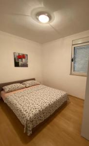 Apartmani David
