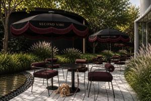 Hotel Indigo Bangkok Thonglor by IHG
