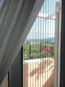 Trizinia view balcony
