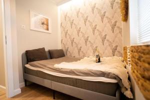 Dworska Suite - Close to the Beach & Regan Park by Downtown Apartments