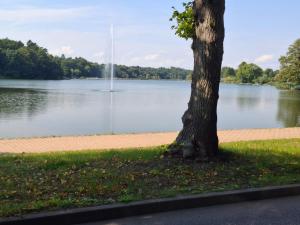 Romantische Ferienwohnung am Schlosspark Dargun