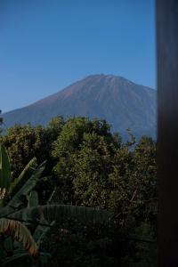 Minimalist Stay and Meru Views
