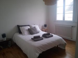 Maison du Grand Large, House with sea view, enclosed garden, beaches and shops