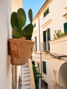 Casa SIFRA nel cuore storico di Sperlonga