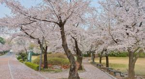 SEOUL Park Avenue