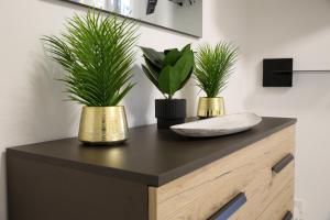 Spacious Apartment near Lake Como & Station by PM Lake Como