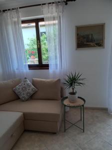 Apartment in Novigrad, Croatia