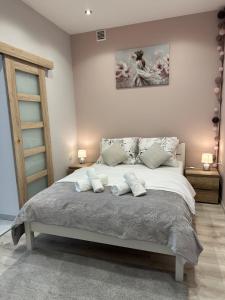 Apartament Panorama Beskidu - Rymanów Rynek