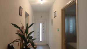 Apartman Iva