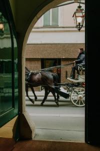 Hotel König von Ungarn