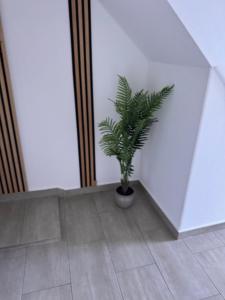 Ferienhaus Fehmarnliebe