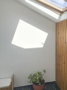 Apartament Aga