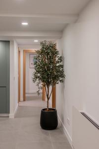 Welcomer Apartments La Latina