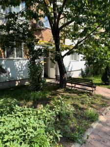 Apartament confortabil cu balcon și vedere spre zona verde Obcini, Suceava