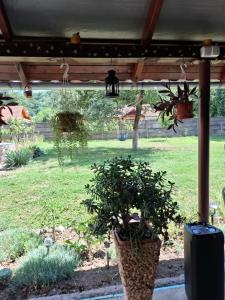 Casa Szabo