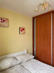 Zielone Tarasy Tomka