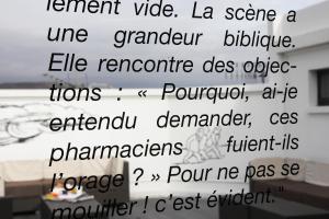 Hotels Hotel Litteraire Alexandre Vialatte, BW Signature Collection : photos des chambres