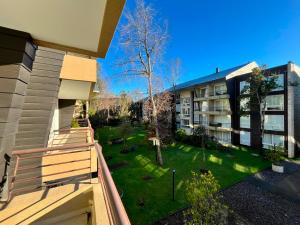 Excelente Departamento en Pucón, camino al volcan