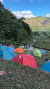 Terassada Camp