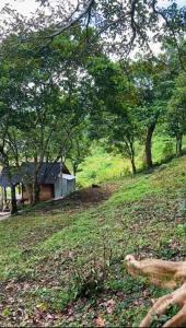 Terassada Camp