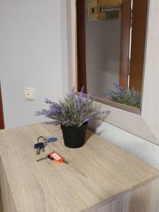 Beautiful Evamar Apartment Near Levante Beach