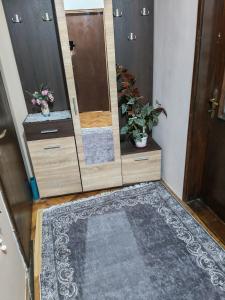Apartmani Aleksići-AS Sokobanja U CENTRU