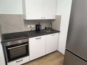 Zentrumsnahe Wohnung in Traunstein mit Dachterasse