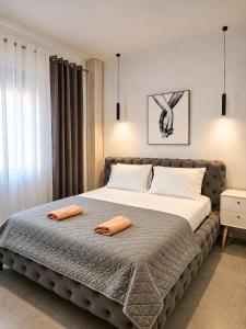 Star Apartment