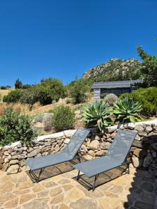 Andalusian country house among olive trees