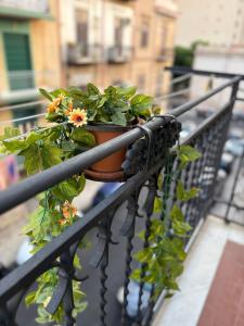 VITALENTA Palermo apartment