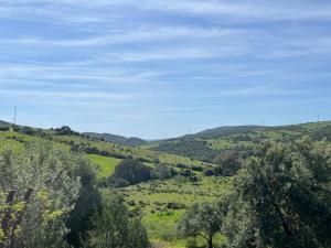 Andalusian country house among olive trees