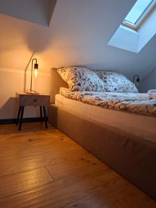 Apartament 8 KLIMATYZACJA OpolskieNoclegi
