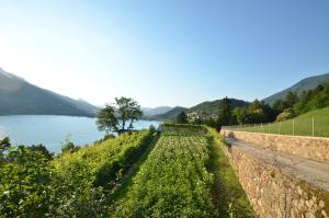 Trentino Appartamenti Oss