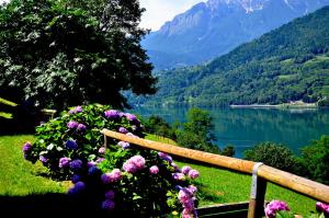 Trentino Appartamenti Oss