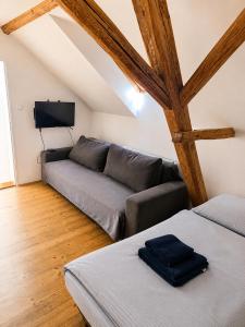 Apartmán Svítkov 21