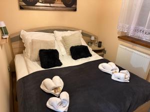 Apartament w kotlinie kłodzkiej
