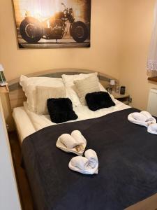 Apartament w kotlinie kłodzkiej
