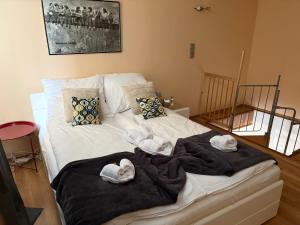 Apartament w kotlinie klodzkiej