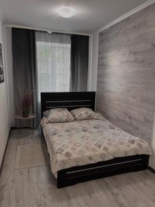 Cozy apartments in the city center