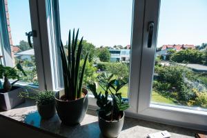 Ferienwohnung Meine