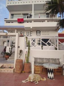 BIG BLUE guest house