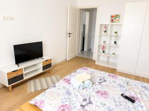 Cozy Apartment Near Old Town & Promenada