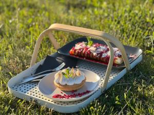 Tglamp Bird house