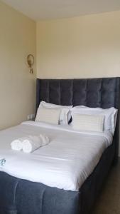 Gold and Elegant Ravic Homes Shawmut Suites with a Pool and Gym