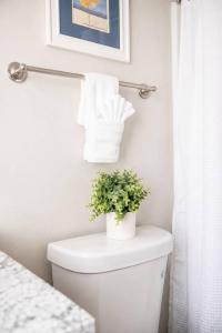 Urban Comfort Minutes From UAB + Hospitals