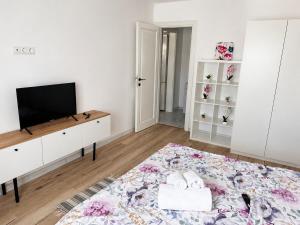 Cozy Apartment Near Old Town & Promenada