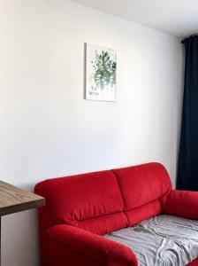 Cozy Apartment Near Old Town & Promenada