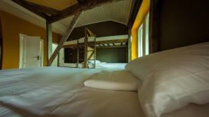 Camp & Hostel Maltakva